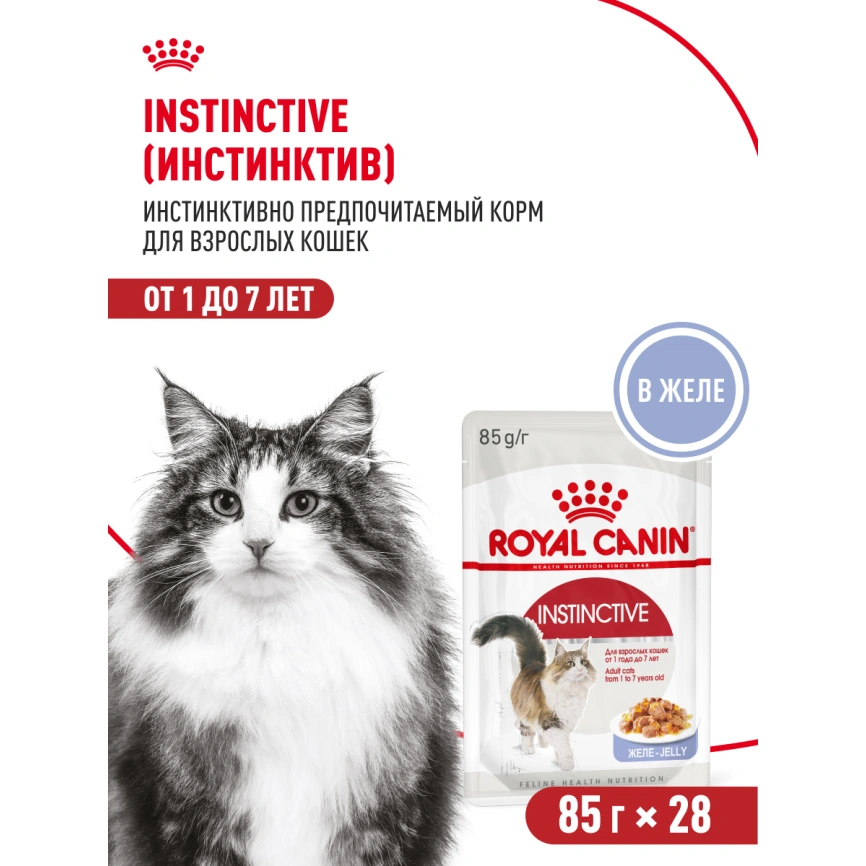 Влажный корм Royal Canin Instinctive в желе для взрослых кошек старше 1 года, пауч, 85 г фото 14