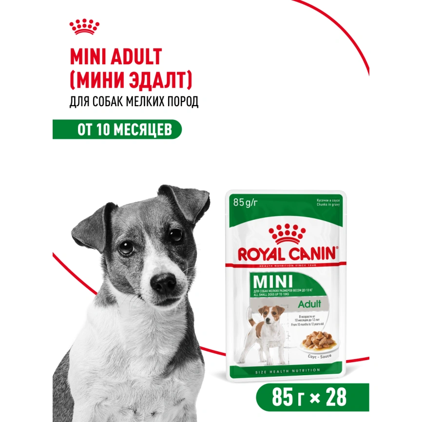 Влажный корм Royal Canin Mini Adult в соусе для взрослых собак мелких пород старше 10 месяцев, пауч, 85 г фото 23
