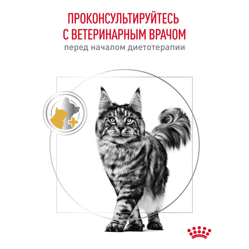 Сухой корм Royal Canin Urinary S/O для кошек при мочекаменной болезни, 7 кг фото 19