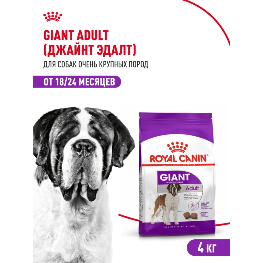 Сухой корм Royal Canin Giant Adult для собак, 4 кг фото 13