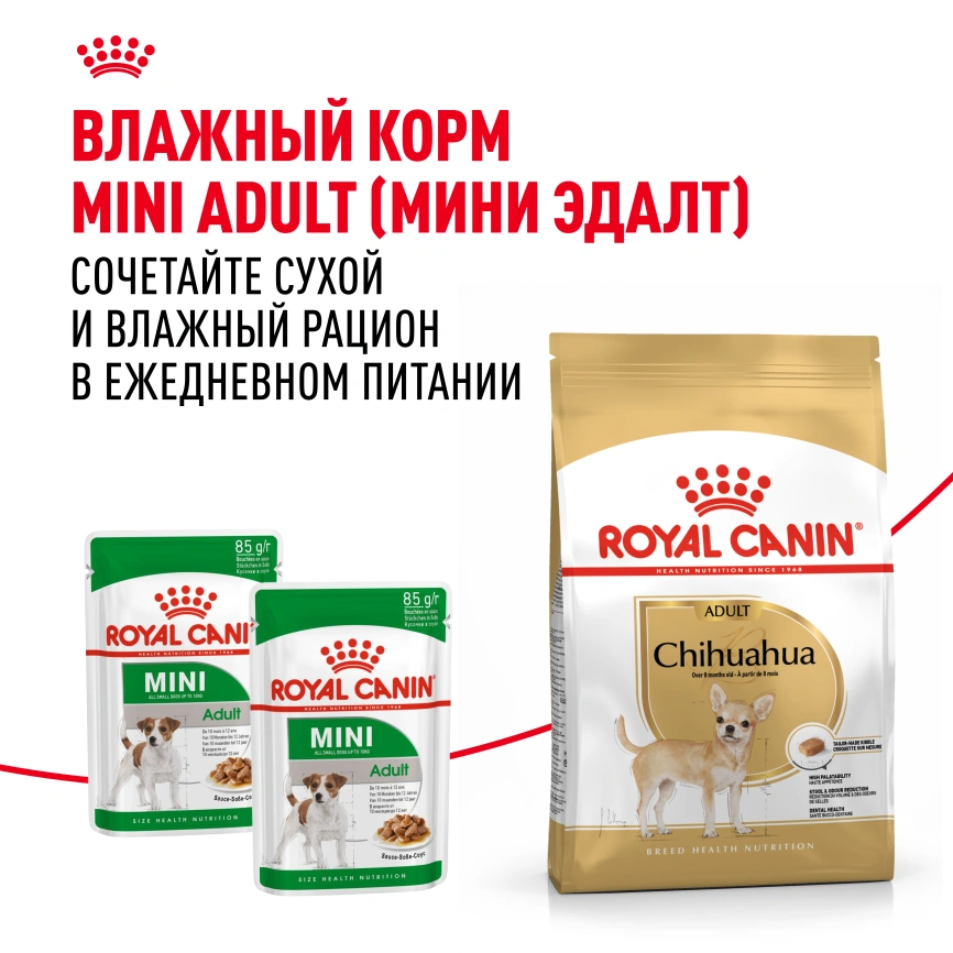 Сухой корм Royal Canin Chihuahua Adult для собак породы чихуахуа, 3 кг фото 13