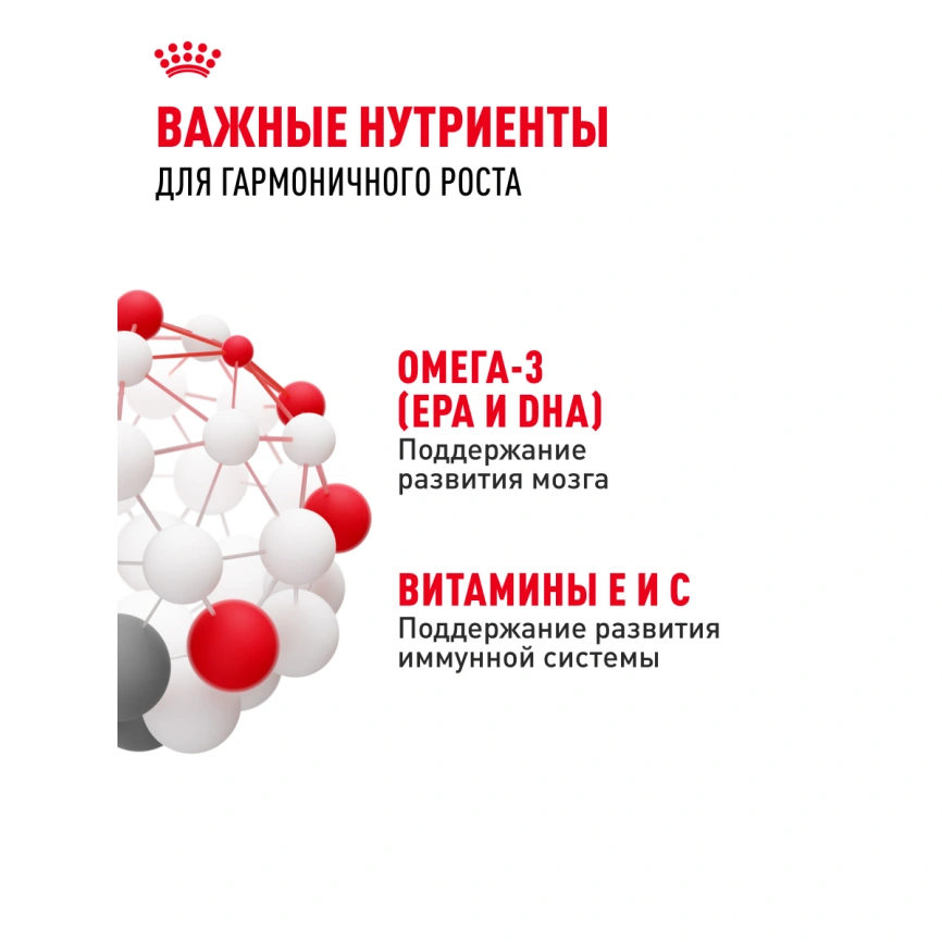 Влажный корм Royal Canin Kitten в соусе для котят до 12 месяцев, пауч, 85 г фото 5