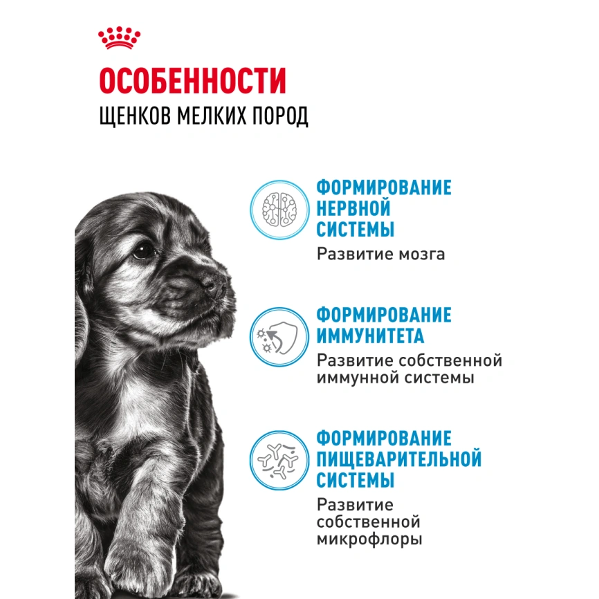 Сухой корм Royal Canin Mini Puppy для щенков, 4 кг фото 16