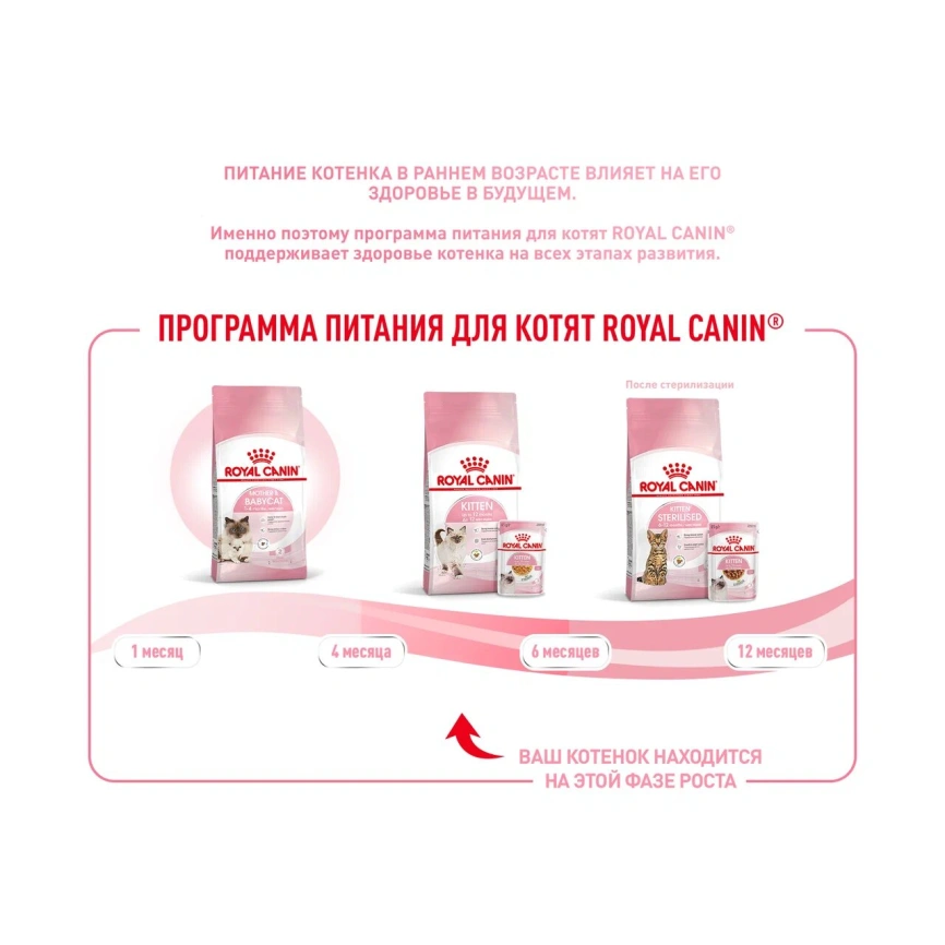Сухой корм Royal Canin Kitten для котят, 300 г фото 12