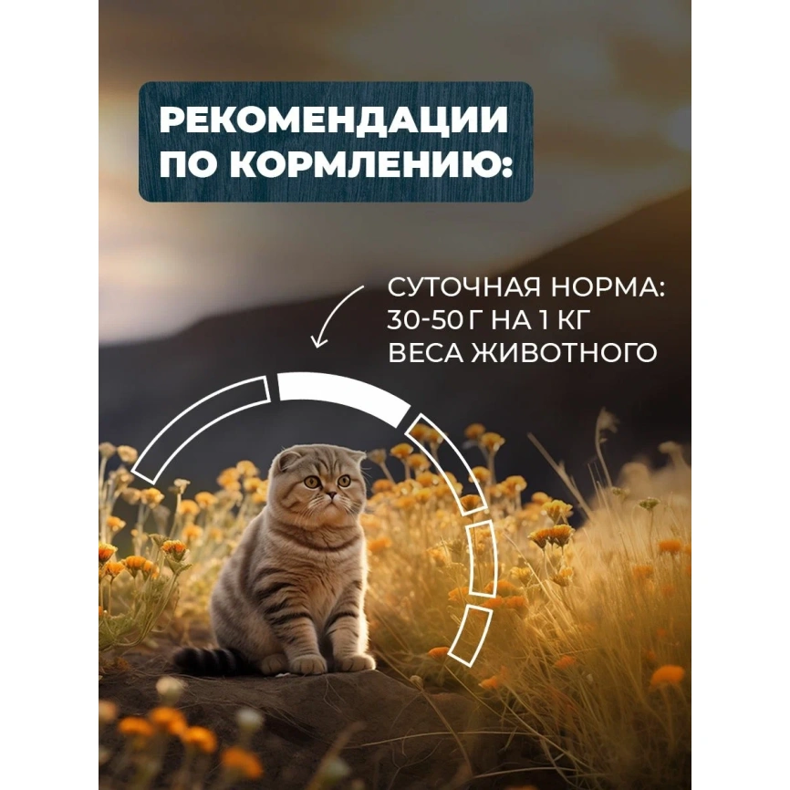Влажный корм Родные корма Lamb для кошек, ягненок по-княжески, 410 г фото 5