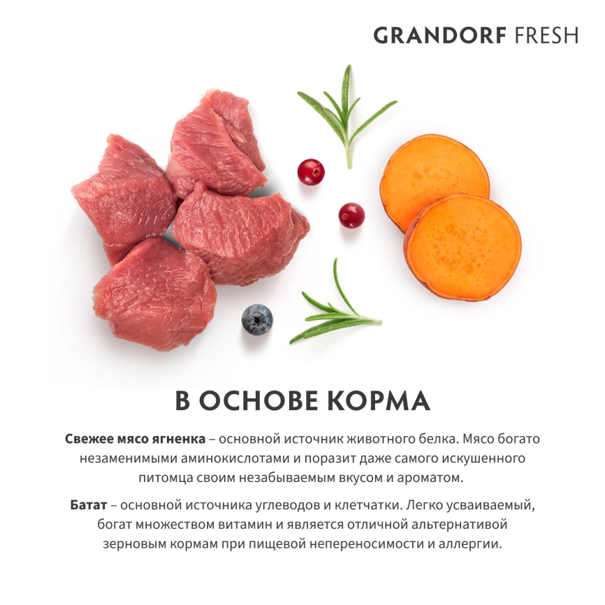 Сухой корм Grandorf Cat Lamb & Sweet Potato для взрослых кошек крупных пород, чувствительное пищеварение или склонность к аллергии ягненок, с бататом, 8 кг фото 6