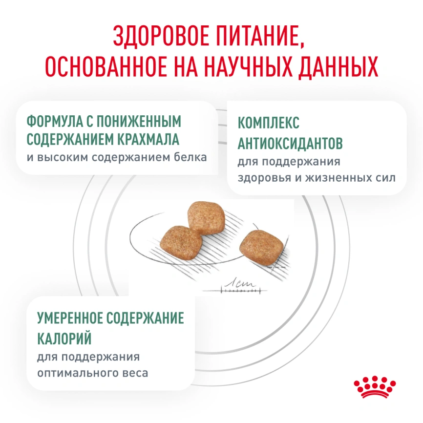Сухой корм Royal Canin Diabetiс для кошек, 1,5 кг фото 8
