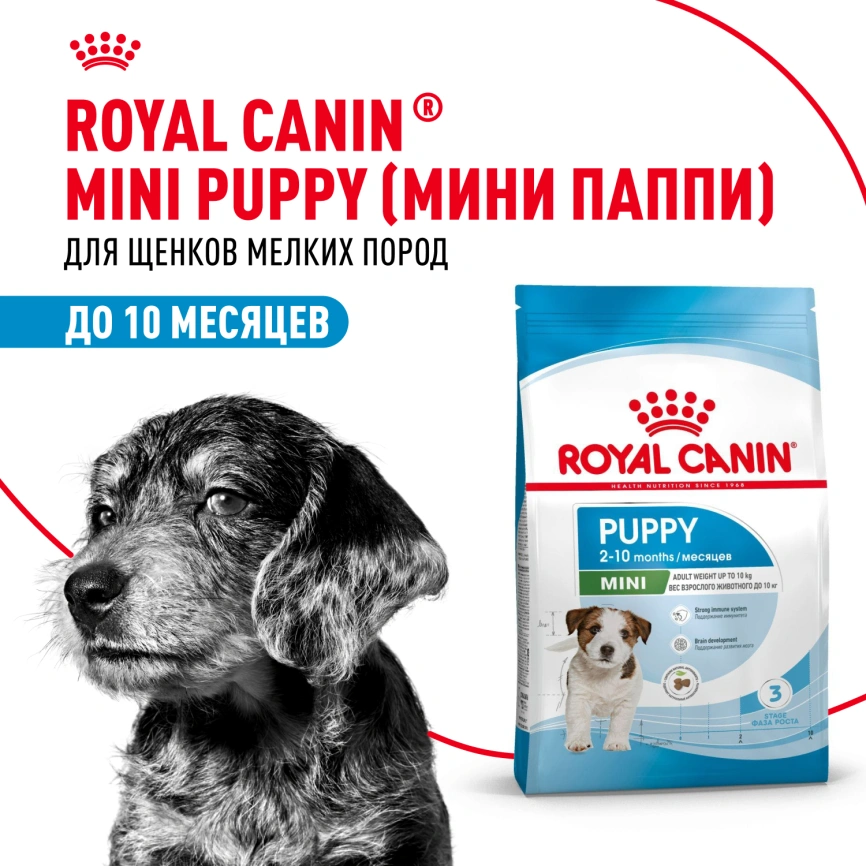 Сухой корм Royal Canin Mini Puppy для щенков, 4 кг фото 15