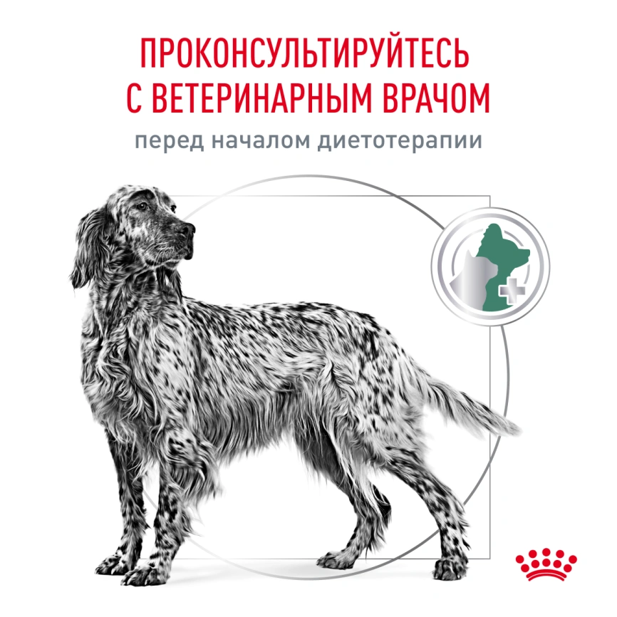 Сухой корм Royal Canin Diabetiс для собак, 12 кг фото 7
