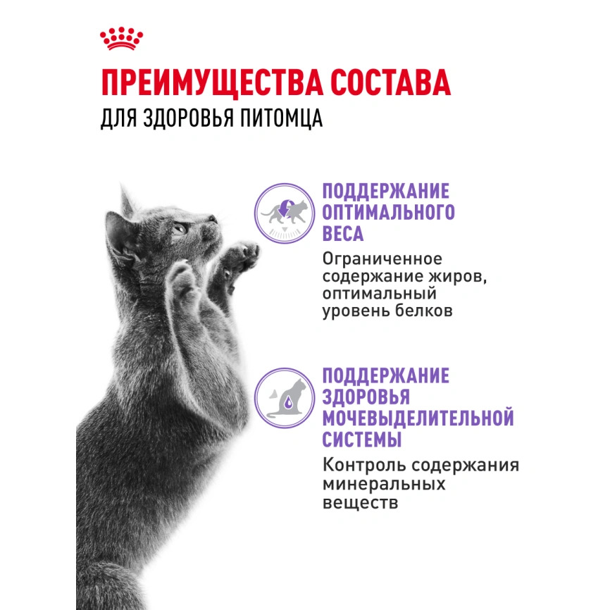 Влажный корм Royal Canin Sterilised в желе для стерилизованных кошек старше 1 года, пауч, 85 г фото 3