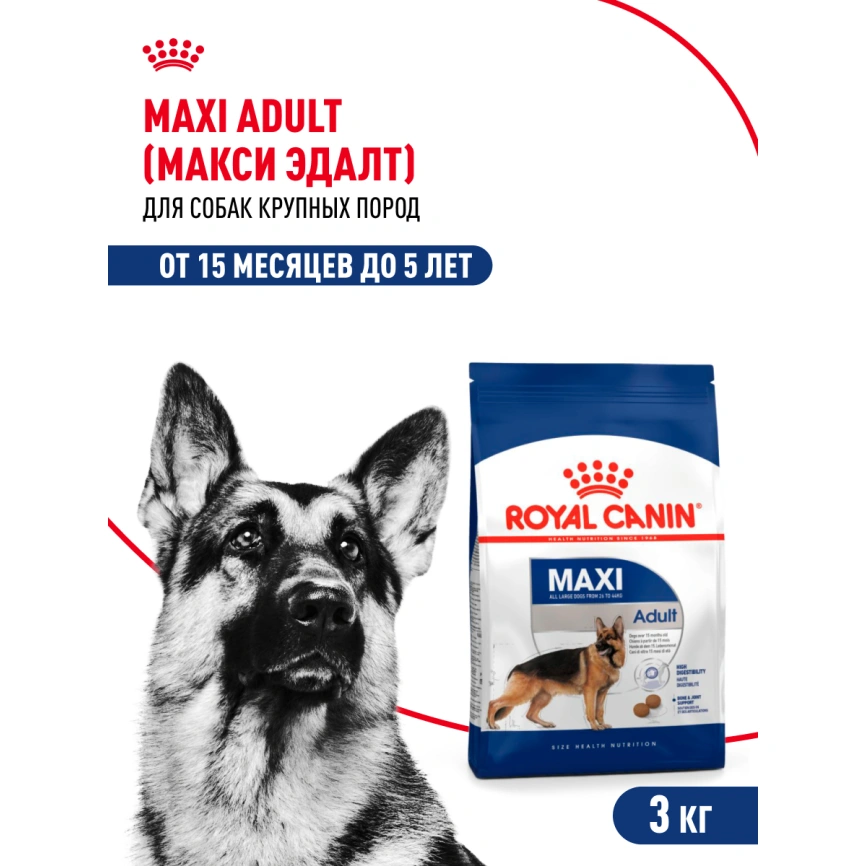 Сухой корм Royal Canin Maxi Adult для собак, 3 кг фото 13