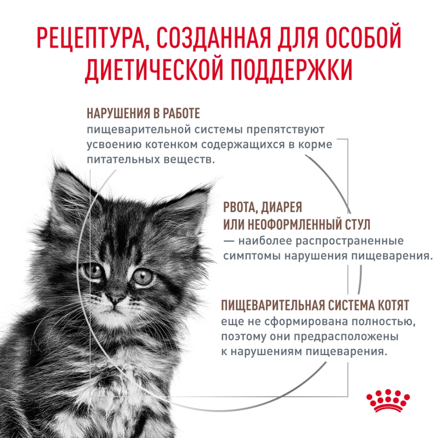 Сухой корм Royal Canin Gastrointestinal Kitten для котят, 350 г фото 2