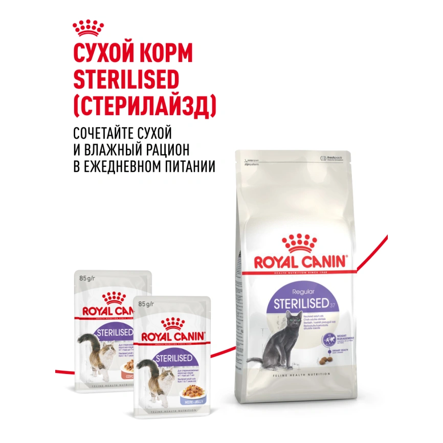 Влажный корм Royal Canin Sterilised в желе для стерилизованных кошек старше 1 года, пауч, 85 г фото 22