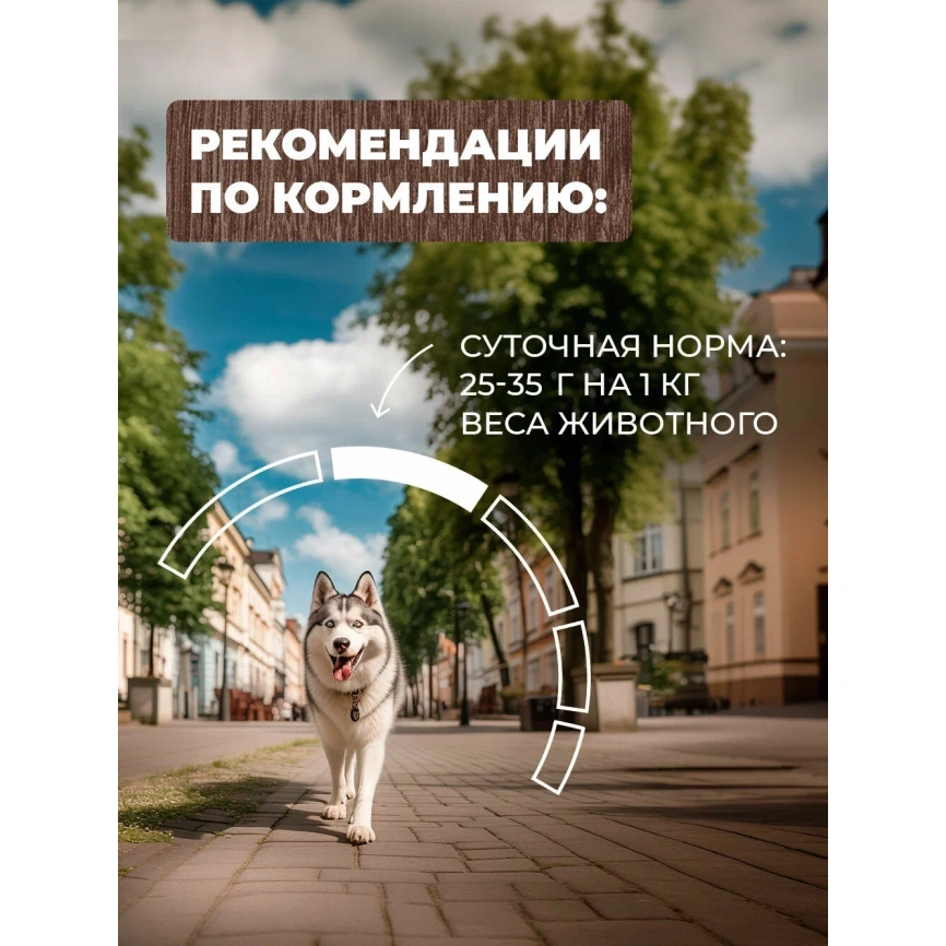 Влажный корм Родные корма для собак, жареха мясная по-двински, 410 г фото 5