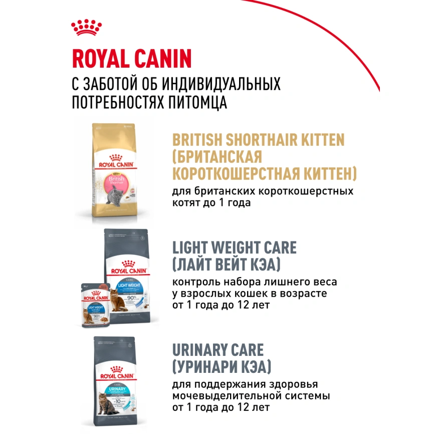 Сухой корм Royal Canin British Shorthair для кошек породы британская короткошерстная, 10 кг фото 28