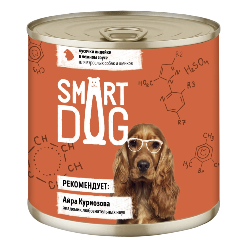 Влажный корм Smart Dog Turkey для взрослых собак и щенков, кусочки индейки в нежном соусе, 85 г фото 1
