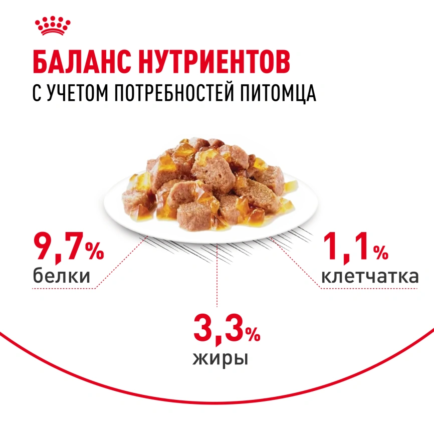 Влажный корм Royal Canin Indoor sterilised в желе для кошек, живущих в помещении, пауч, 85 г фото 4