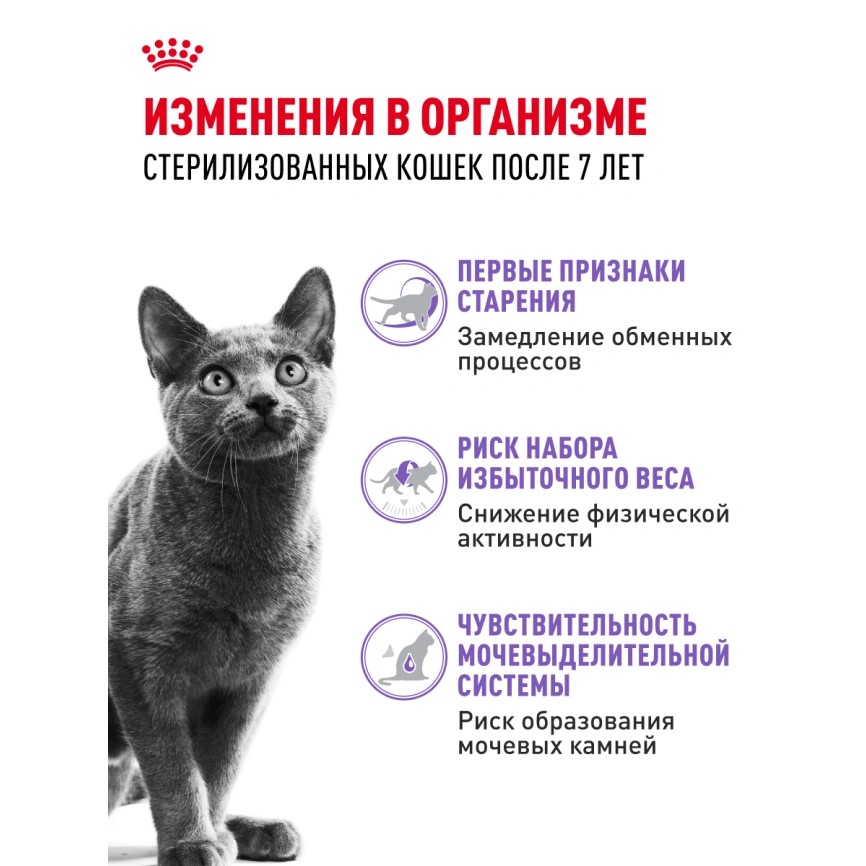 Сухой корм Royal Canin Sterilised 7+ для стерилизованных кошек и кастрированных котов, 1.5 кг фото 15