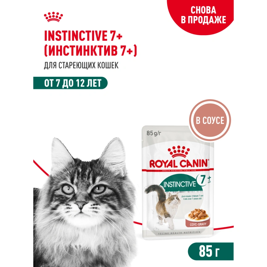 Влажный корм Royal Canin Instinctive 7+ в соусе для кошек старше 7 лет, пауч, 85 г фото 15