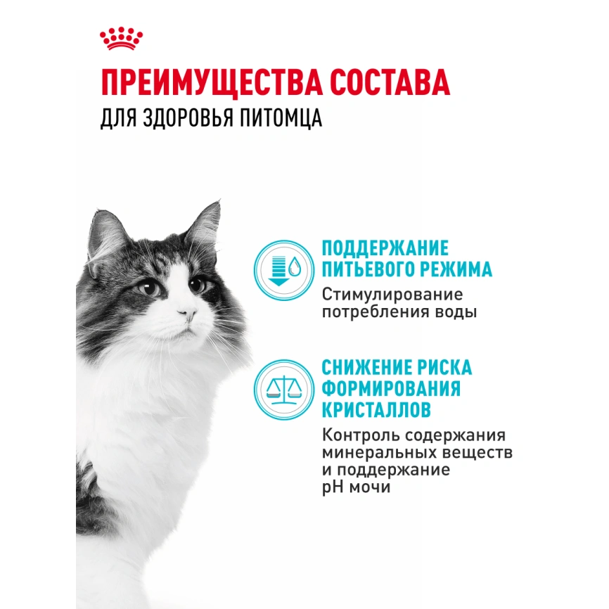 Сухой корм Royal Canin Urinary Care для кошек для профилактика мочекаменной болезни, 400 г фото 16