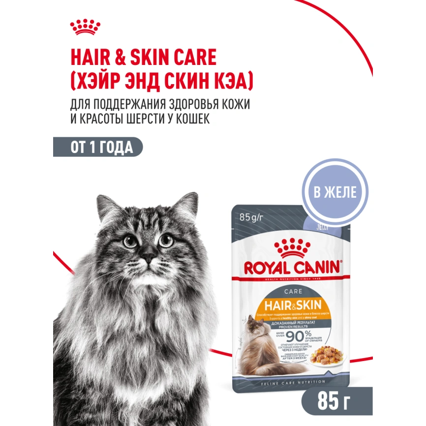 Влажный корм Royal Canin Hair & Skin Care в желе для взрослых кошек старше 1 года, пауч, 85 г фото 15