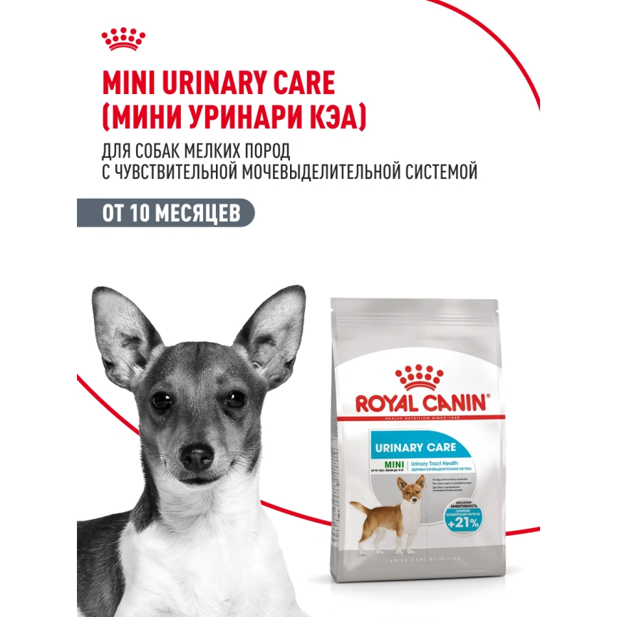 Сухой корм Royal Canin Mini Urinary Care для собак, 1 кг фото 13