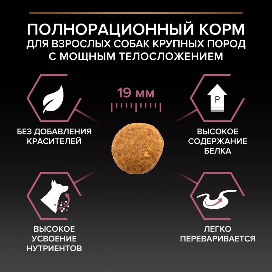 Сухой корм PRO PLAN Salmon для взрослых собак крупных пород с мощным телосложением с чувствительной кожей, с высоким содержанием лосося, 14 кг фото 2