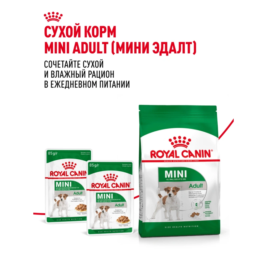 Влажный корм Royal Canin Mini Adult в соусе для взрослых собак мелких пород старше 10 месяцев, пауч, 85 г фото 22