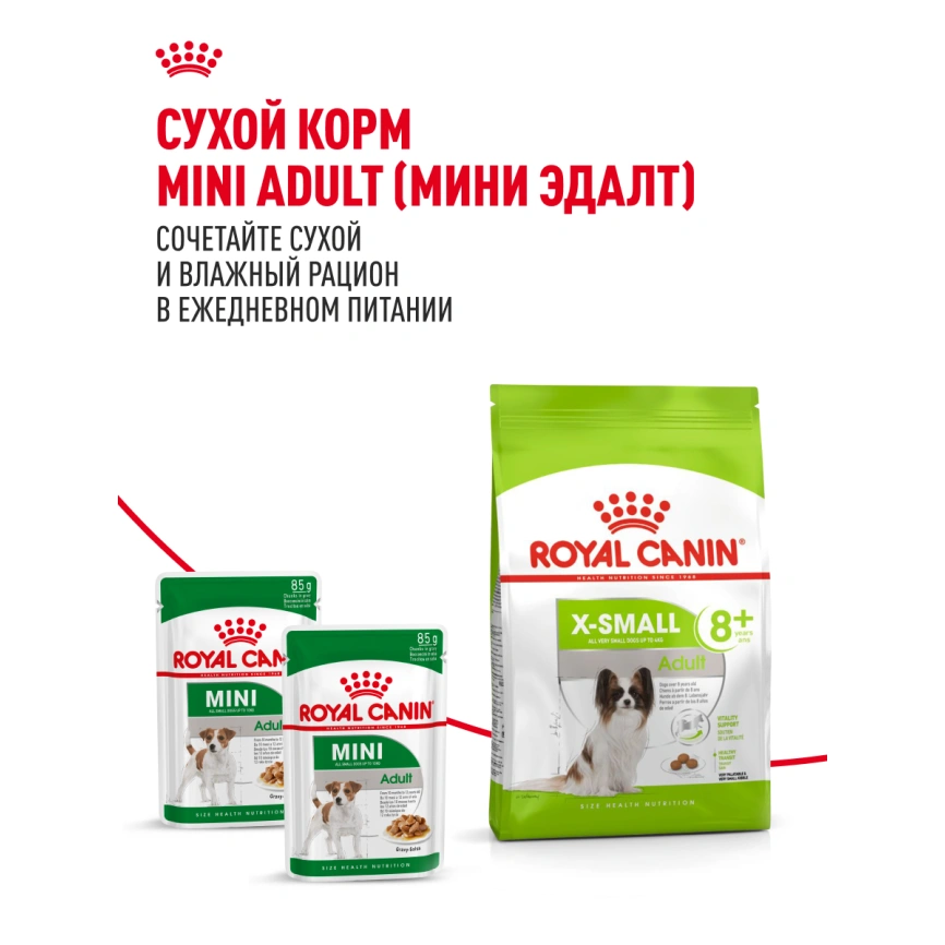 Сухой корм Royal Canin X-Small Adult для собак, 500 г фото 20