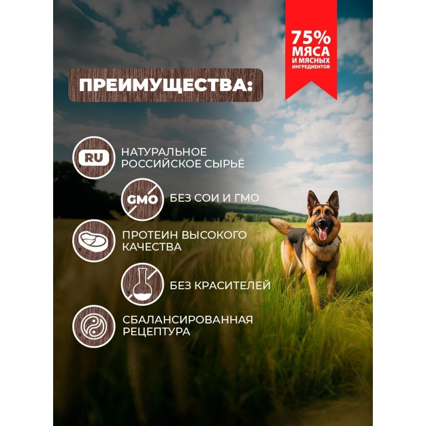 Влажный корм Родные корма Beef & Vegetables для собак, говядина с овощами по-казацки, 970 г фото 2