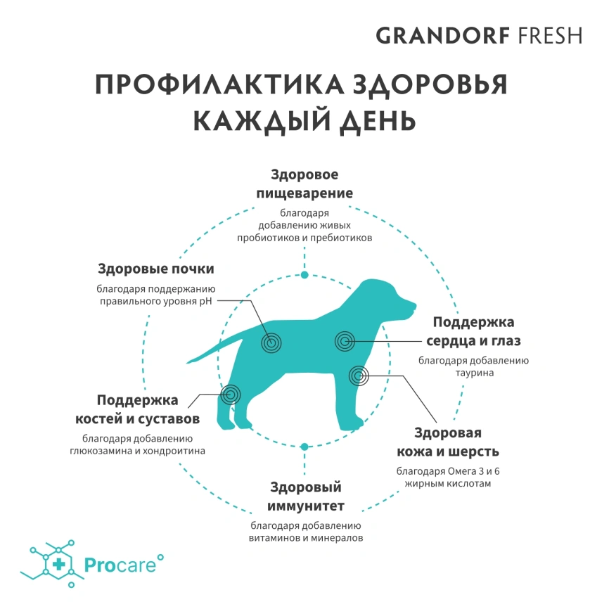 Сухой корм Grandorf Fresh Dog Lamb & Sweet Potato для юниоров средних и крупных пород беременных и кормящих собак беззерновой ягненок, с бататом, 10 кг фото 4