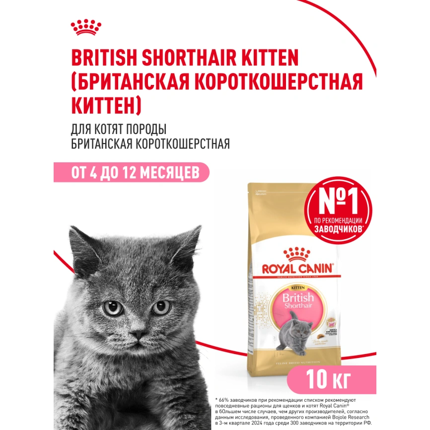 Сухой корм Royal Canin Kitten British Shorthair для котят, 10 кг фото 15