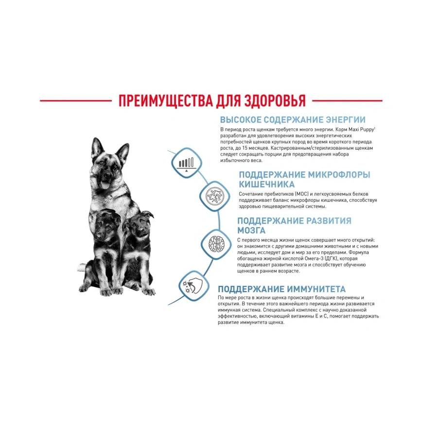 Сухой корм Royal Canin Maxi Puppy для щенков, 15 кг фото 15