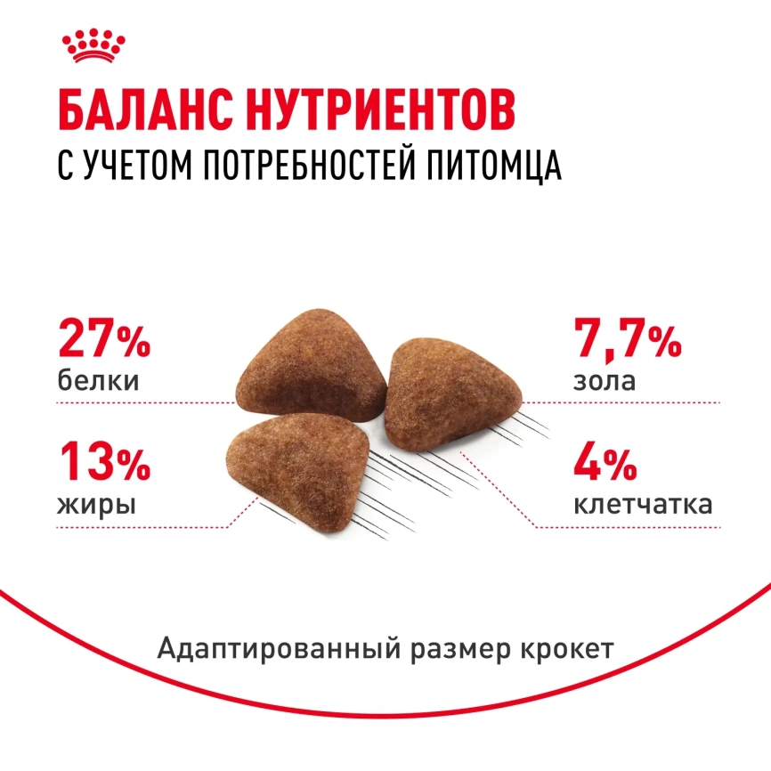 Сухой корм Royal Canin Indoor для кошек, 200 г фото 6