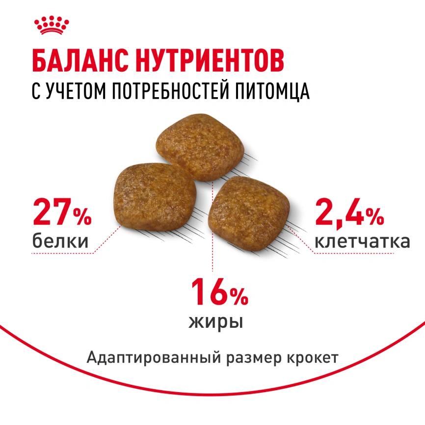 Сухой корм Royal Canin Mini Urinary Care для собак, 1 кг фото 4