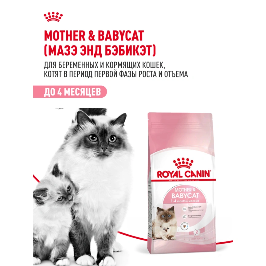 Сухой корм Royal Canin Mother & Babycat для котят, беременных и лактирующих кошек, 4 кг фото 12