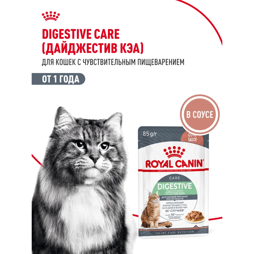 Влажный корм Royal Canin Digest Sensitive в соусе для улучшения пищеварения у взрослых кошек старше 1 года, пауч, 85 г фото 15