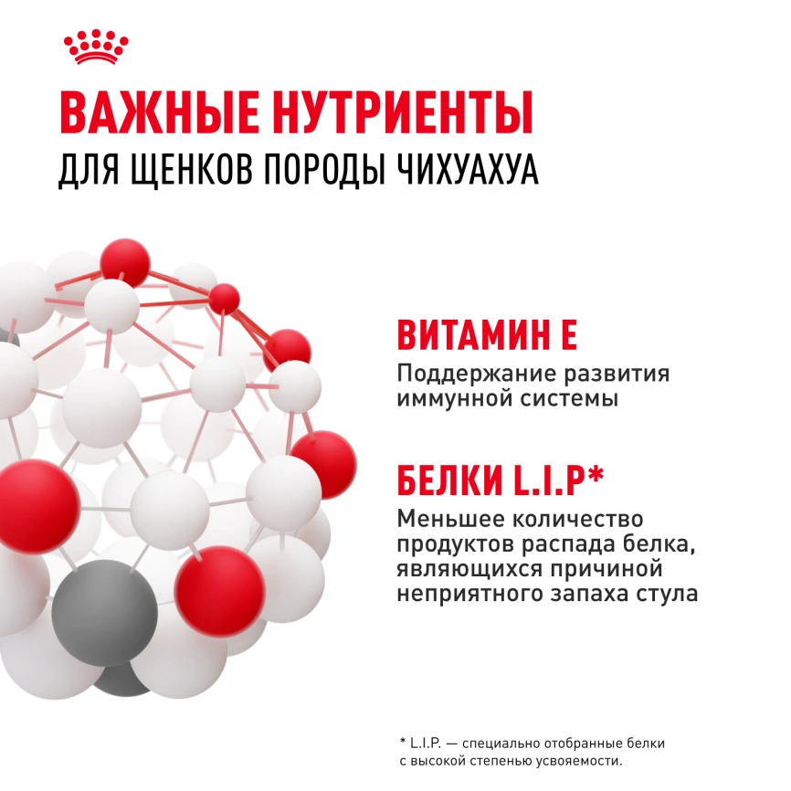 Сухой корм Royal Canin Chihuahua Puppy для щенков породы чихуахуа, 1,5 кг фото 6