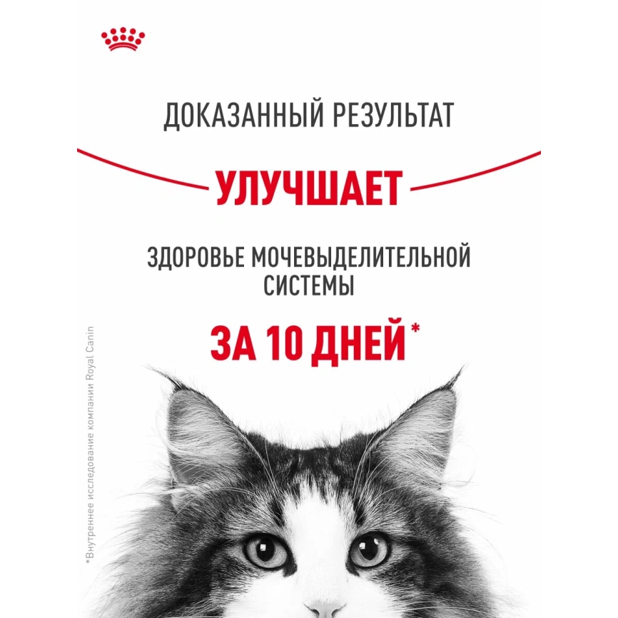 Сухой корм Royal Canin Urinary Care для поддержания здоровья мочевыделительной системы кошек, 2 кг фото 4