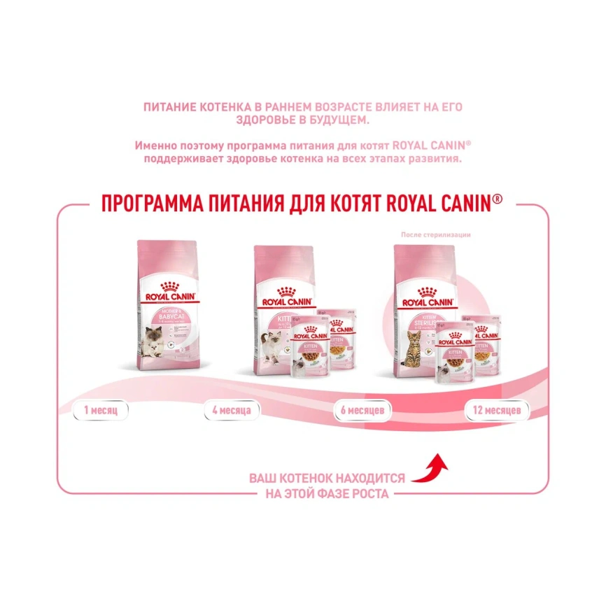 Сухой корм Royal Canin Kitten Sterilised для котят, 2 кг фото 13