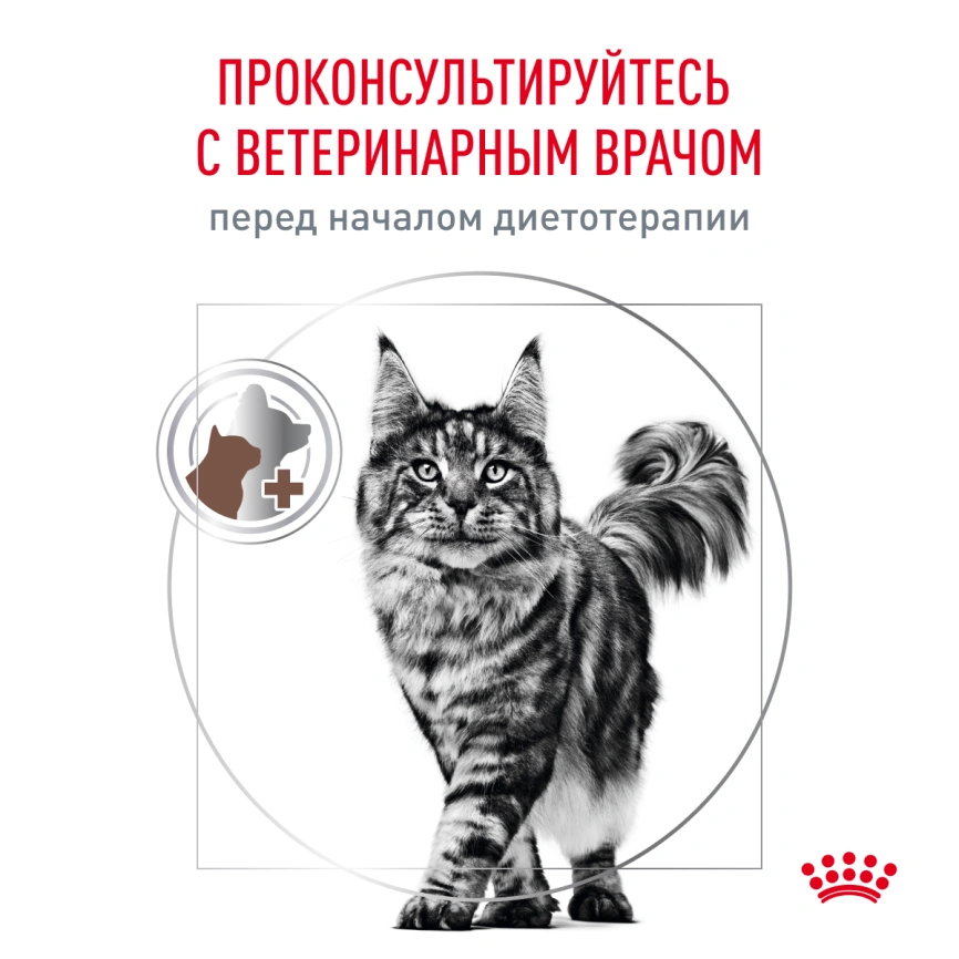 Сухой корм Royal Canin Gastrointestinal Fibre Response для кошек, 350 г фото 8