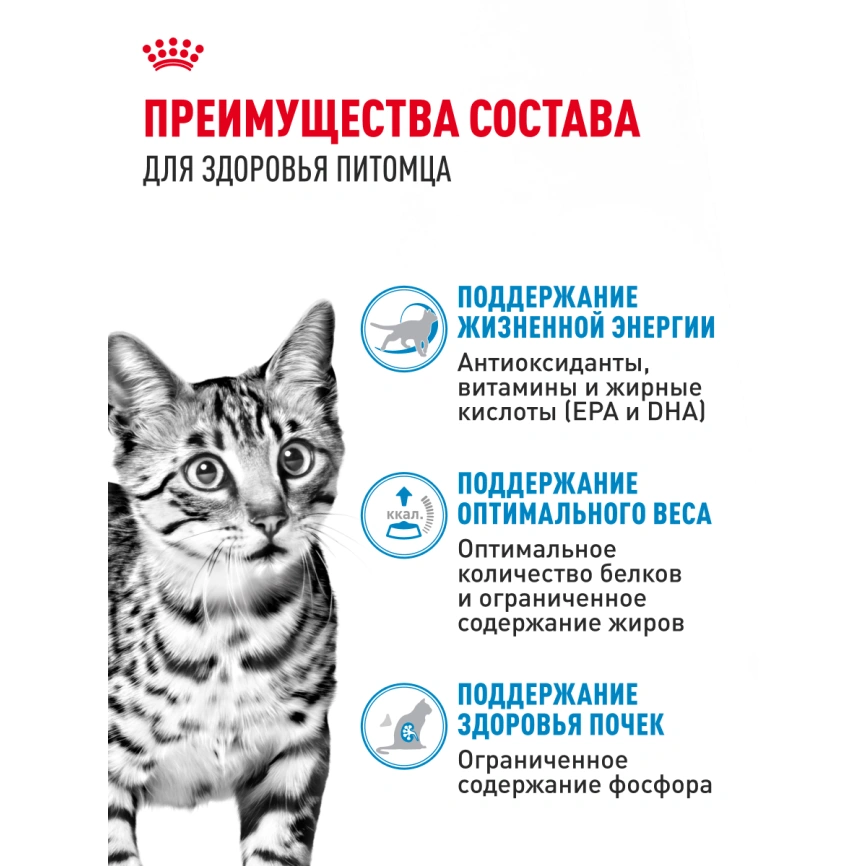 Влажный корм Royal Canin Indoor 7+ в соусе для кошек старше 7 лет, живущих в помещении, пауч, 85 г фото 2