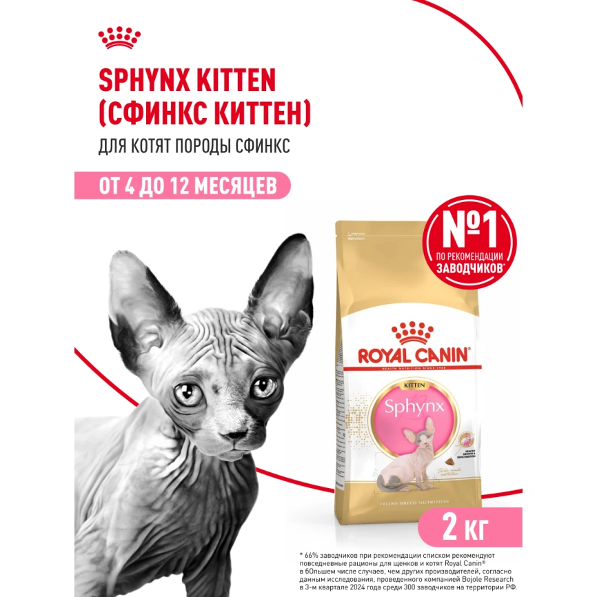 Сухой корм Royal Canin Kitten Sphynx для котят, 2 кг фото 14