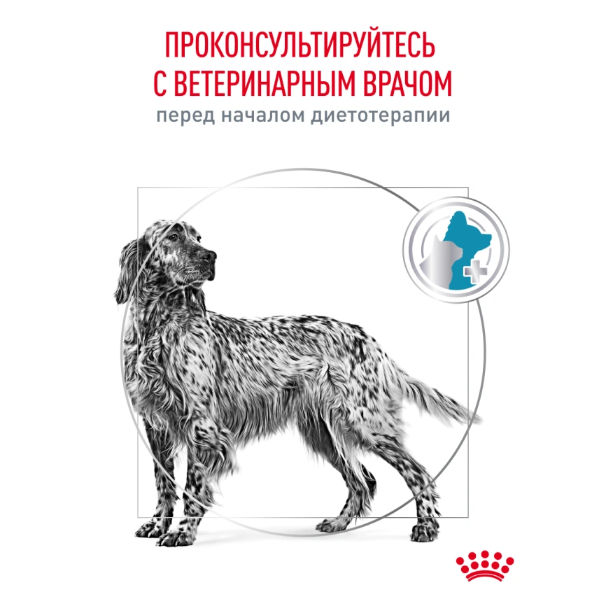 Сухой корм Royal Canin Hypoallergeniс для собак, 4 кг фото 21
