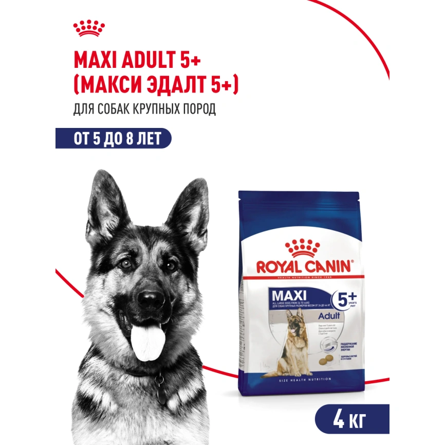 Сухой корм Royal Canin Maxi Adult 5+ для собак, 4 кг фото 14