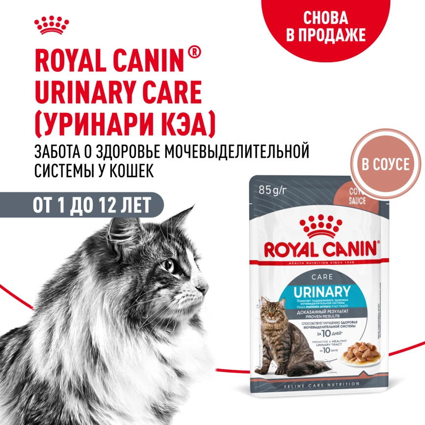 Влажный корм Royal Canin Urinary Care в соусе для кошек для поддержания здоровья мочевыделительной системы, пауч, 85 г фото 15