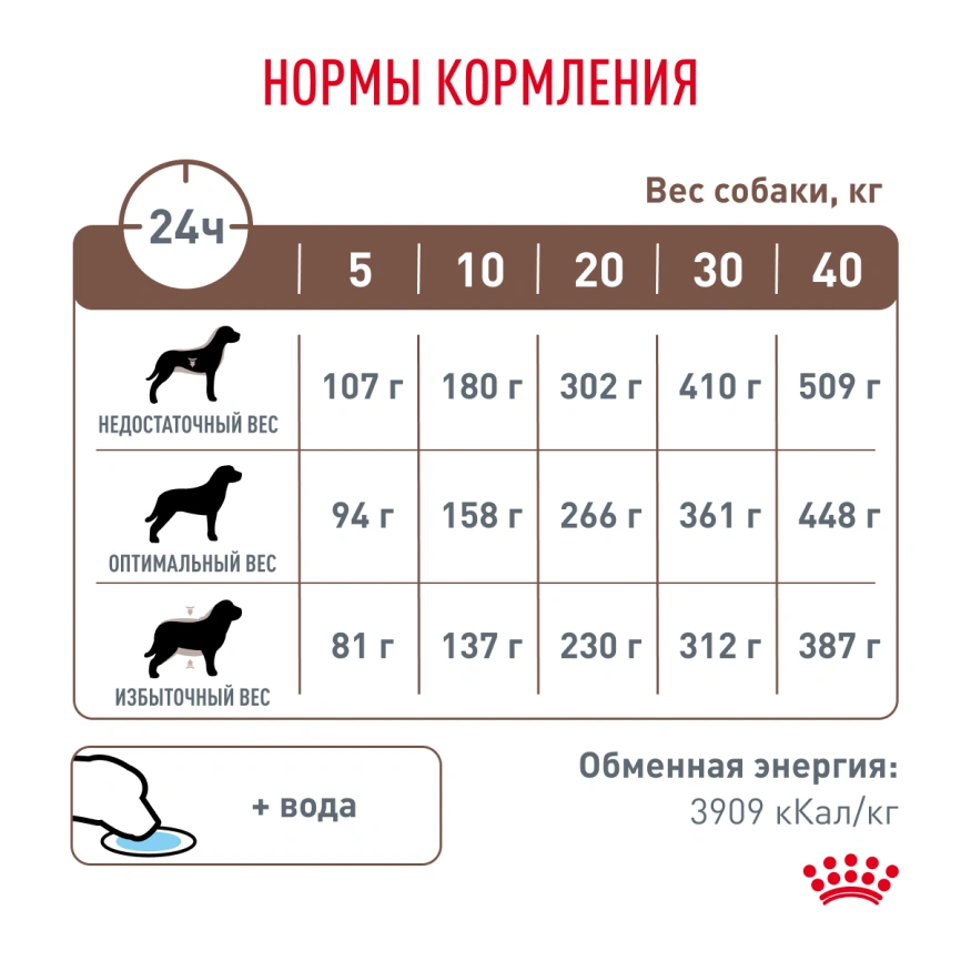 Сухой корм Royal Canin Hepatiс для собак, 12 кг фото 6