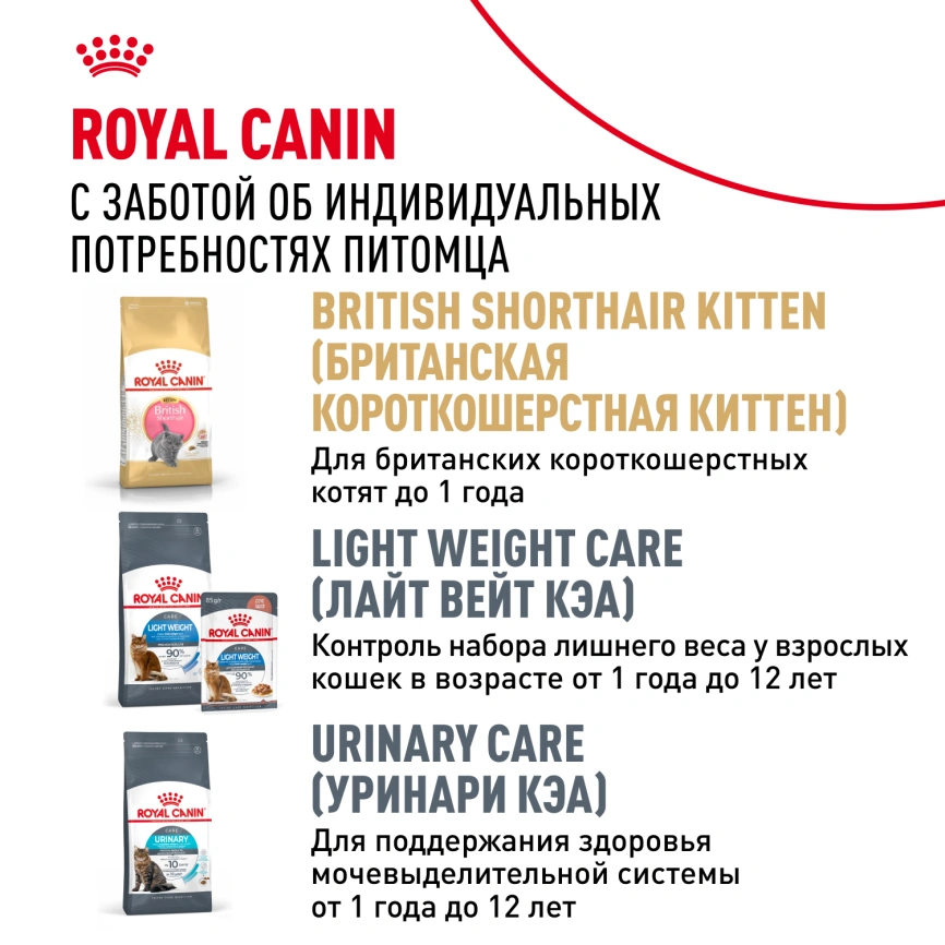 Влажный корм Royal Canin British Shorthair в соусе для кошек породы британская короткошерстная и шотландская вислоухая старше 1 года, пауч, 85 г фото 10