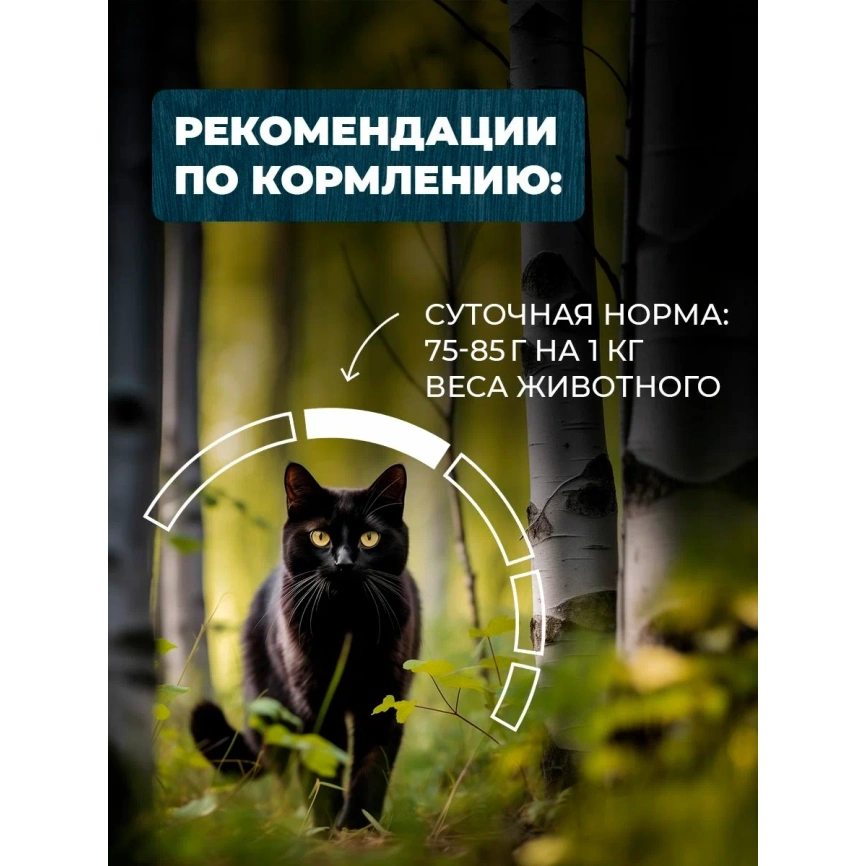 Влажный корм Родные корма Turkey для кошек, с чувствительным пищеварением, с индейкой и желудочками кусочки в желе по-славянски, 85 г фото 4