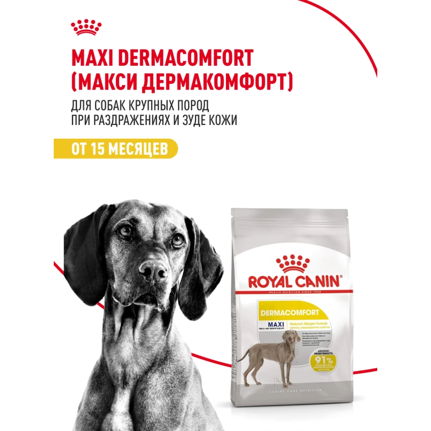 Сухой корм Royal Canin Maxi Dermacomfort для собак, 10 кг фото 13